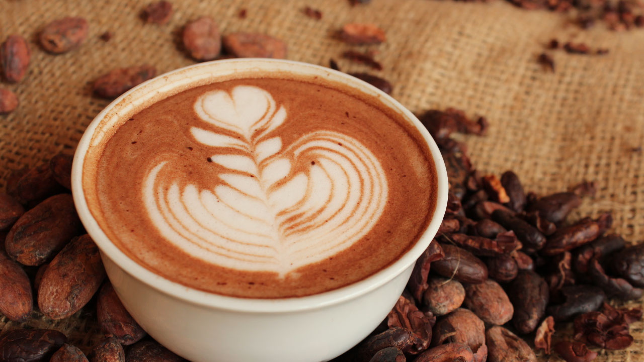 6-hot-cocoa-chocolate-antigua-guatemala-coffeeshop-fernandos-kaffee