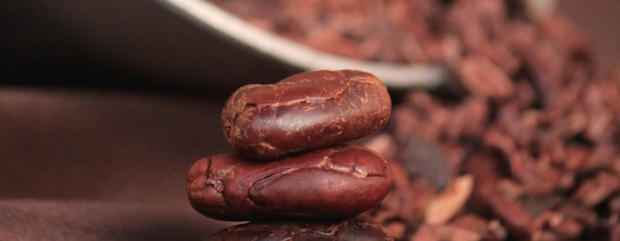 Beneficios del Cacao