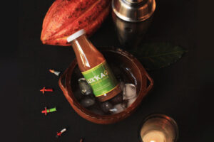 Recetario de Cocteles con Jugo de Cacao